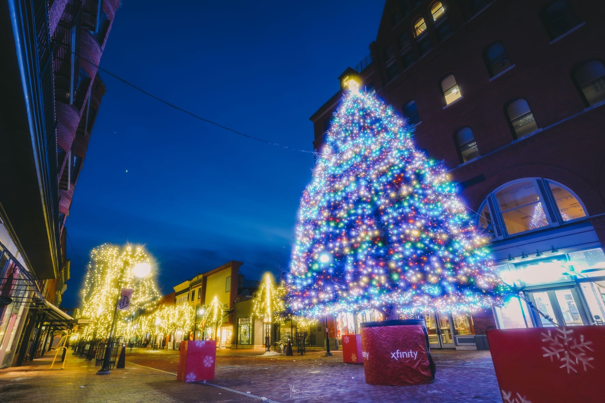 Donate Your Tree to Burlington, Vermont's Christmas on the Marketplace